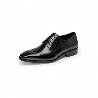 Męskie Buty Wizytowe Brogue Dress Shoes